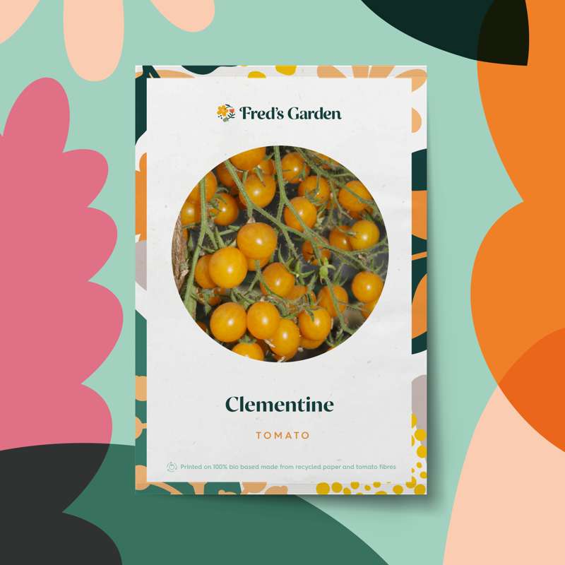 Tomat 'Clementine' (frø)